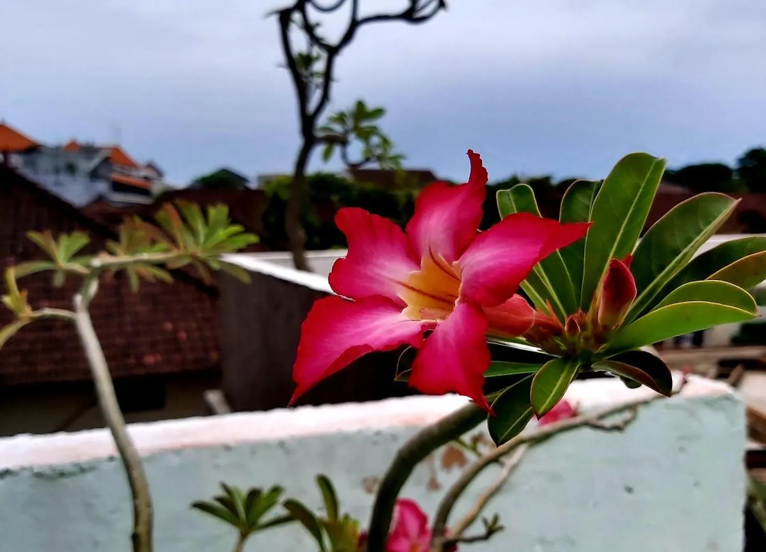 Genta House Ξενοδοχείο Kuta Lombok
