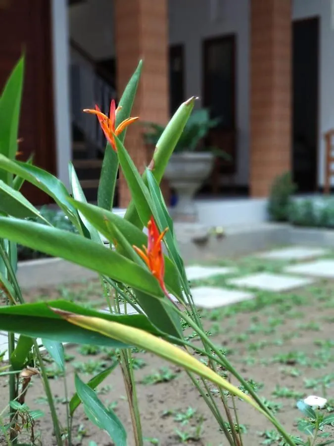 Πανσιόν Genta House Ξενοδοχείο Kuta Lombok