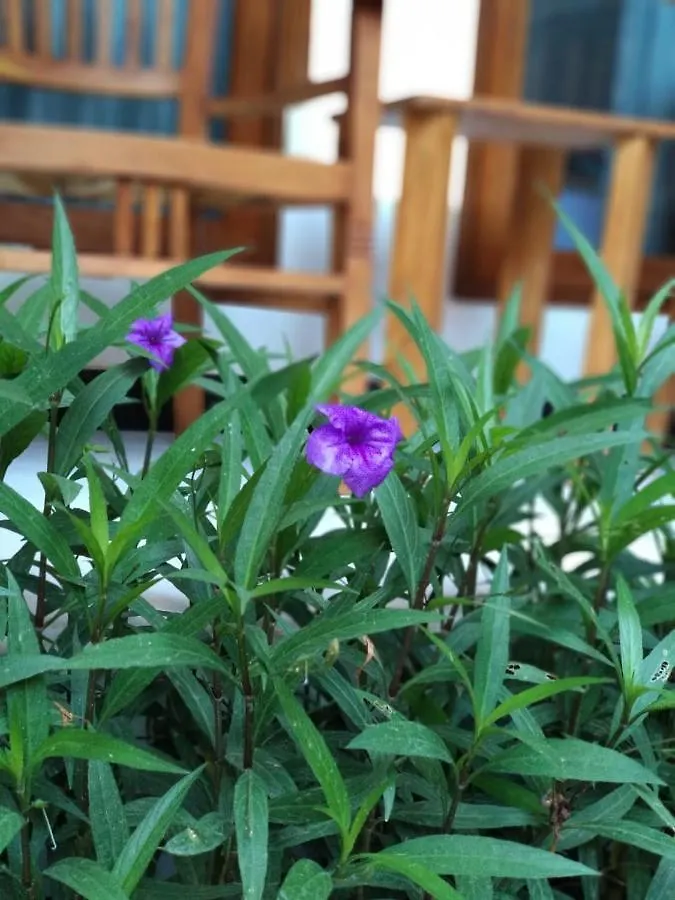 Genta House Ξενοδοχείο Kuta Lombok Πανσιόν